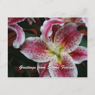 Carte Postale Finlande en Fleurs, 7ème dans une série