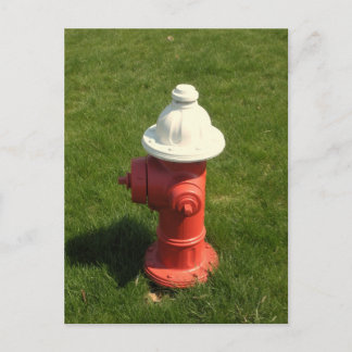 Carte postale Fire Hydrant !