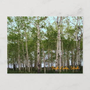 Carte Postale Fish Lake, Utah