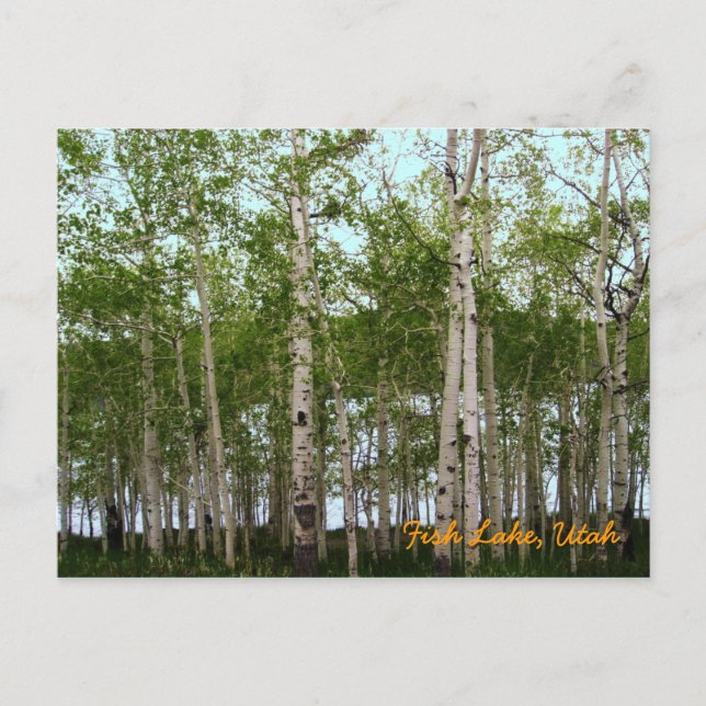 Carte Postale Fish Lake, Utah (Devant)