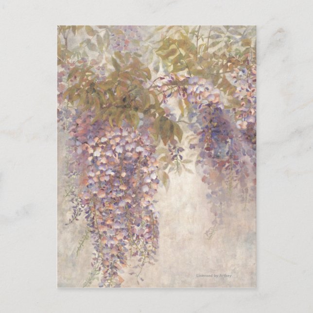 Carte Postale Fissure (Devant)