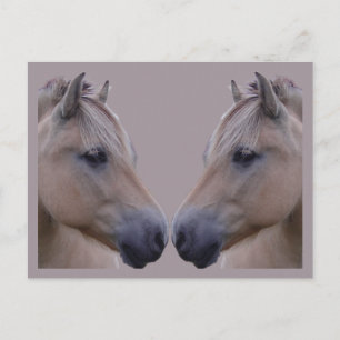 Carte Postale Fjord norvégien