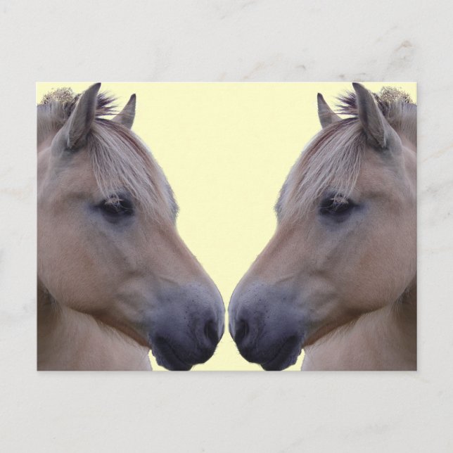 Carte Postale Fjord norvégien (Devant)