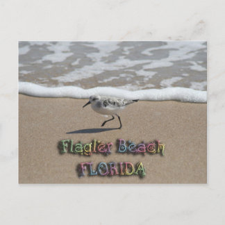 Carte postale Flagler Beach