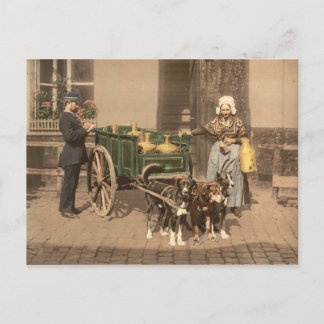 Carte Postale Flamande vintage
