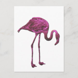 Carte Postale flamant