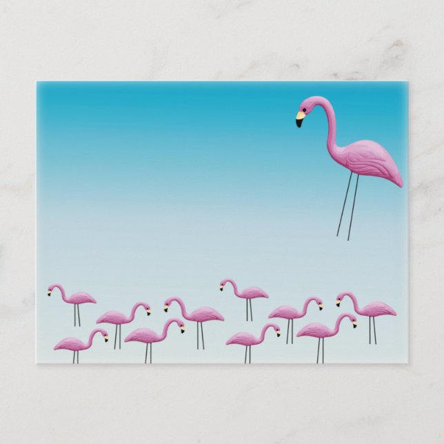 Carte Postale Flamant rose (Devant)