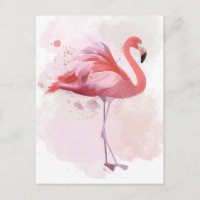 Flamant rose de bouffée
