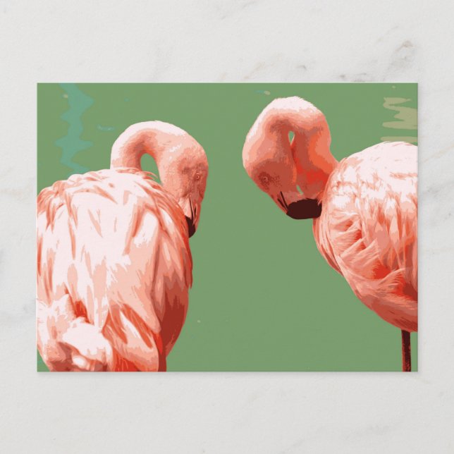 Carte Postale Flamant rose écarlate (Devant)
