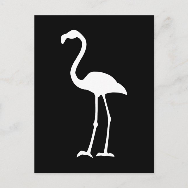 Carte Postale Flamant rose noir et blanc (Devant)
