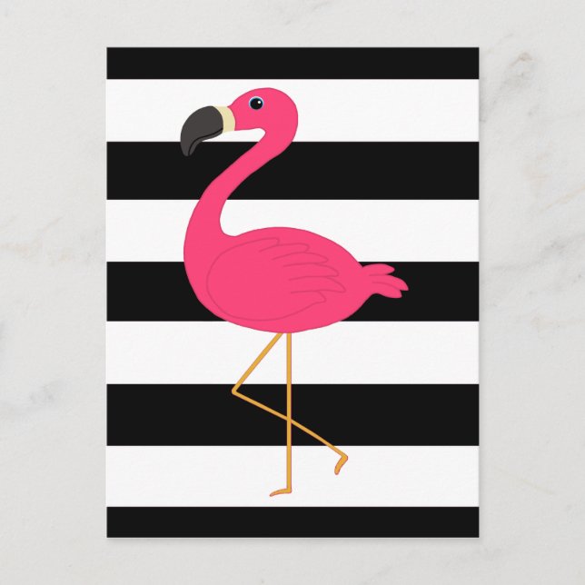 Carte Postale Flamant rose noir et blanc de rose de rayure (Devant)