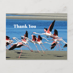 Carte Postale Flamant rose Pink Flight Merci photo