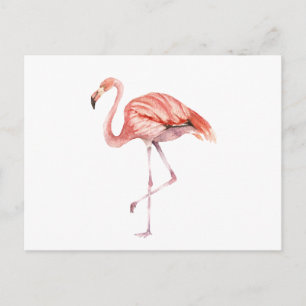 Carte Postale Flamant rose rose