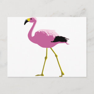 Carte Postale Flamant rose rose