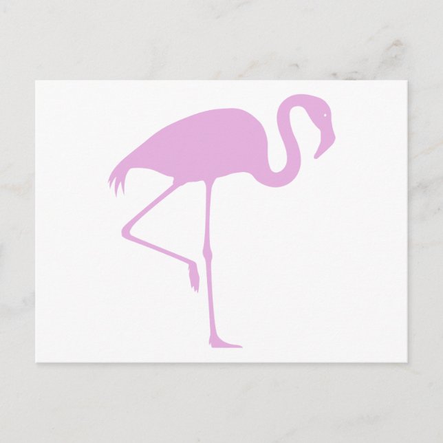 Carte Postale Flamant rose rose classique (Devant)