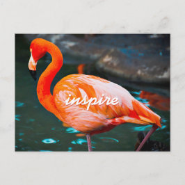 Carte Postale Flamant rose rose élégant Photo Inspirer Script mo
