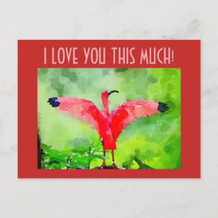 Carte postale - Flamant rose rose - Je t'aime tant