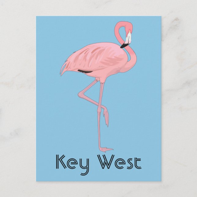 Carte Postale Flamant rose rose Key West Florida (Devant)