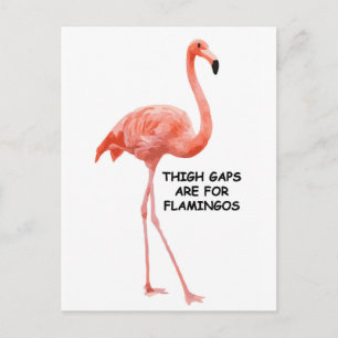 Carte Postale Flamant rose rose magnifique été