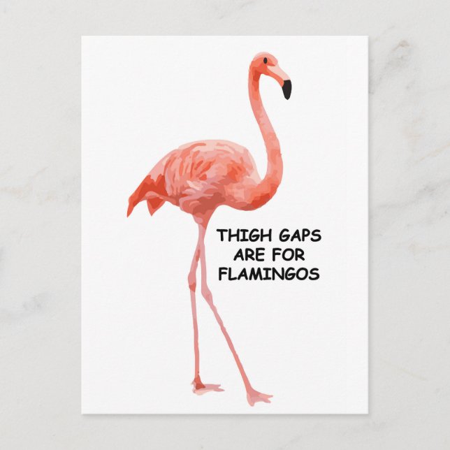 Carte Postale Flamant rose rose magnifique été (Devant)