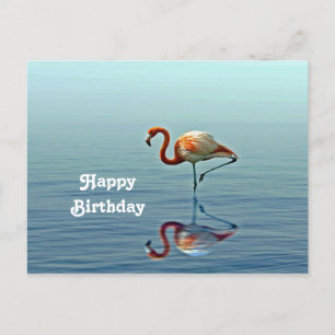 Carte Postale Flamant rose rose Réflexion Faune Photo Anniversai