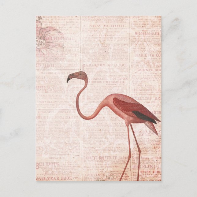 Carte Postale Flamant rose rose vintage (Devant)
