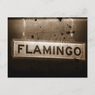 Carte postale Flamant rose Street Las Vegas
