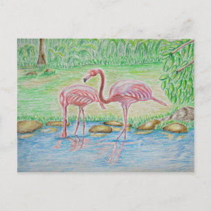 Carte Postale Flamants roses