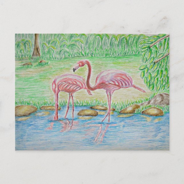 Carte Postale Flamants roses (Devant)