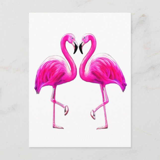 Carte Postale Flamants Roses Amoureux  (Devant)