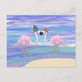 Carte Postale Flamants roses dans des casquettes tricotés