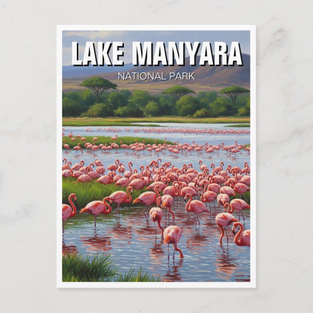 Carte Postale Flamants roses du Parc National du Lac Manyara en  (Devant)