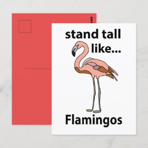 Carte Postale Flamants roses Hauts Comme Flamants roses Flamant 