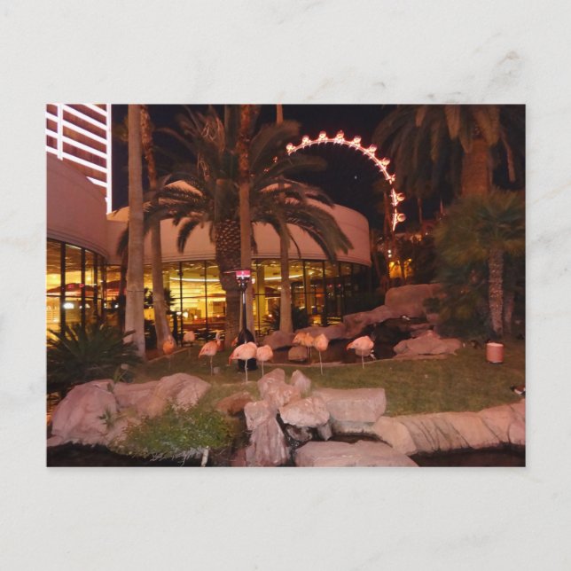 Carte Postale Flamants roses, Las Vegas Postcard (Devant)