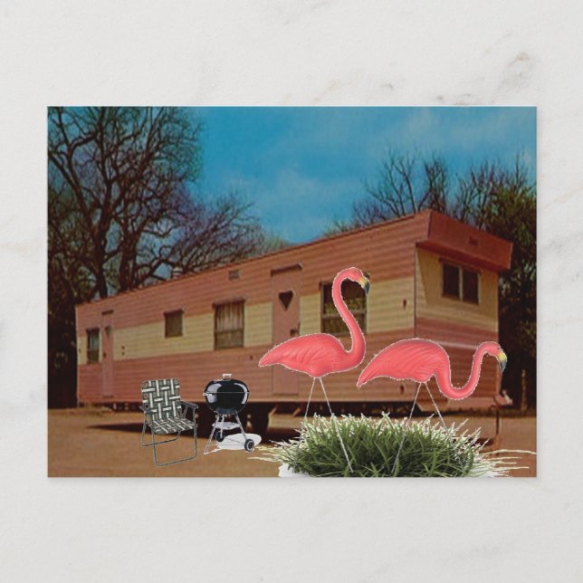 Carte Postale Flamants roses roses (Devant)