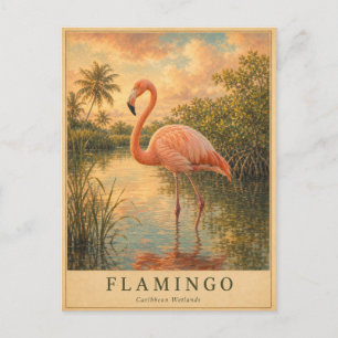 Carte Postale Flamingo Caribbean Wetlands VINTAGE