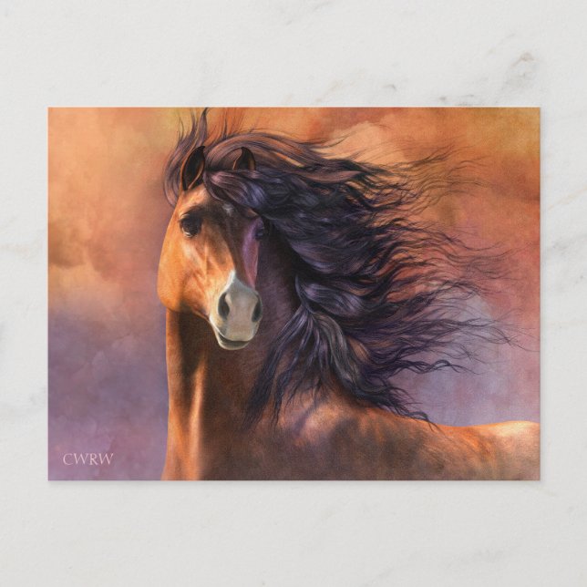 Carte postale Flash (Devant)