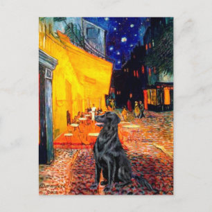 Carte Postale Flat Coated Retriever 1 - Terrasse du Café