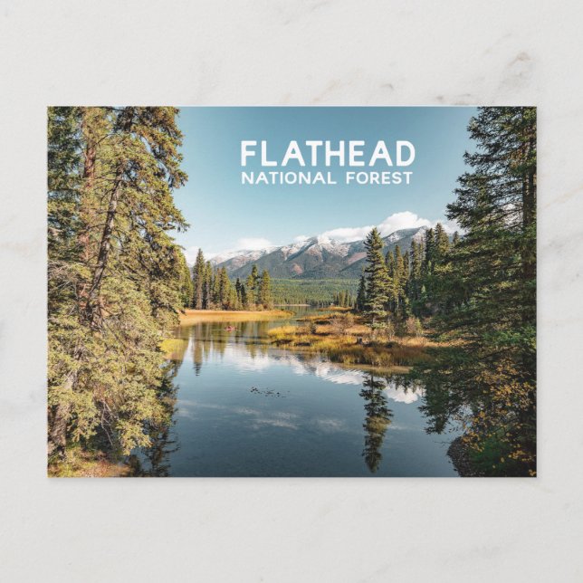 Carte Postale Flathead Forêt nationale Lac Montana Photo (Devant)
