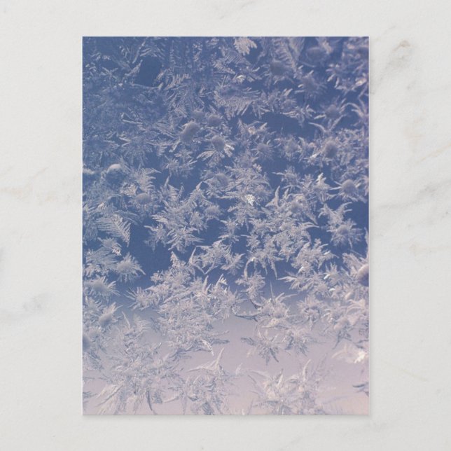 Carte Postale Flèches de neige (Devant)