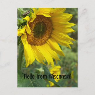 Carte Postale fleur