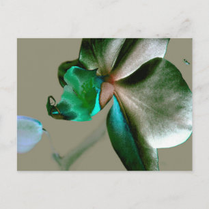 Carte Postale Fleur artistique dans les tons bleu, vert et gris
