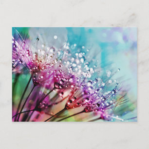 Carte Postale Fleur Closeup Cristal Dew Eau Drop Nature Pluie