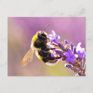 Carte Postale Fleur d'abeilles Beau paysage naturel
