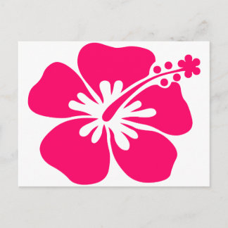 Carte Postale fleur d'aloa rose