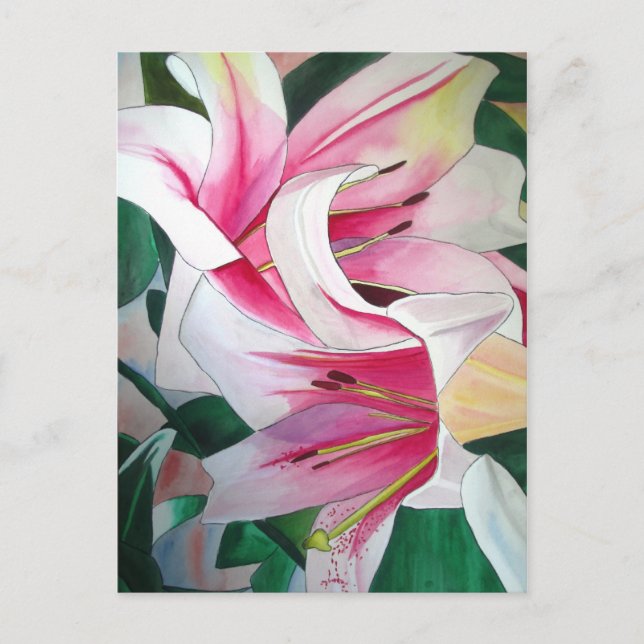 Carte Postale Fleur d'aquarelle de nénuphar blanc et rose (Devant)