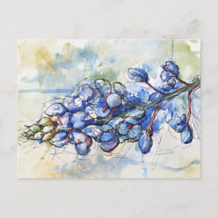 Carte Postale Fleur d'aquarelle du Texas Bluebonnet
