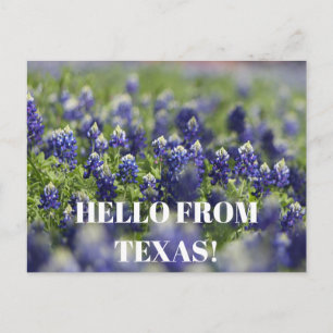 Carte Postale Fleur de Bleuet du Texas Fleur Sauvage Floral Bleu