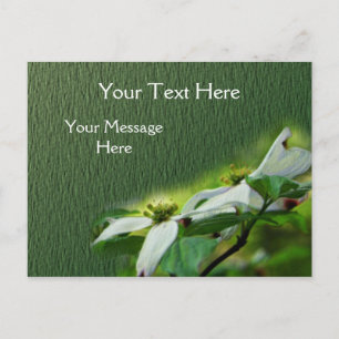 Carte Postale Fleur de bois de chien blanc