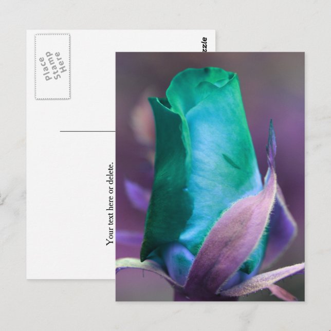 Carte Postale Fleur de bouton de rose turquoise personnalisée (Devant / Derrière)